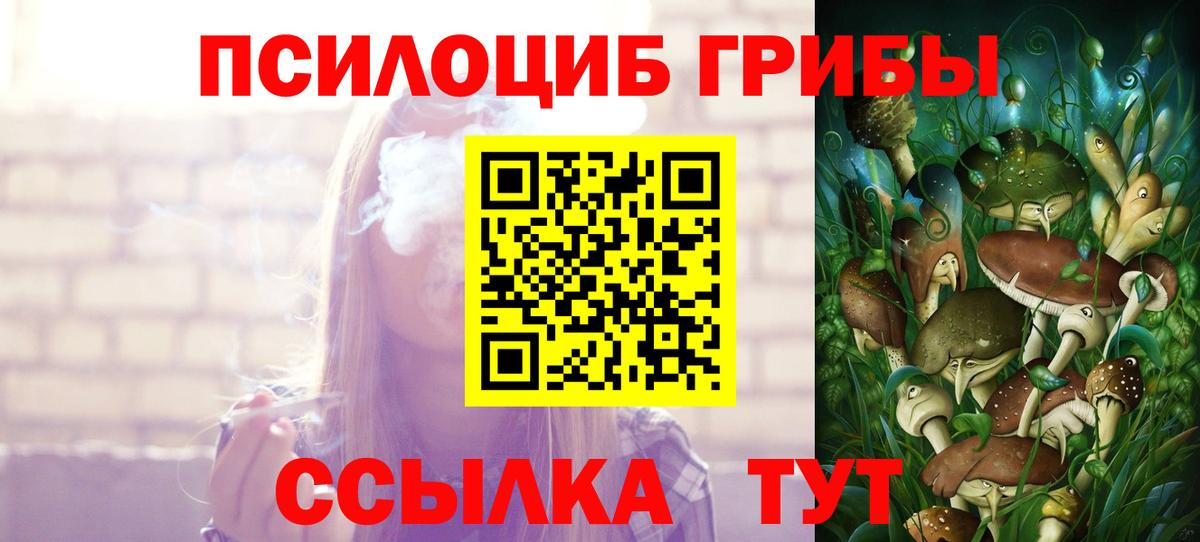 Псилоцибиновые грибы Psilocybine cubensis Йошкар-Ола